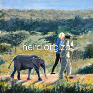 Walks with Khanyisa (Digital)