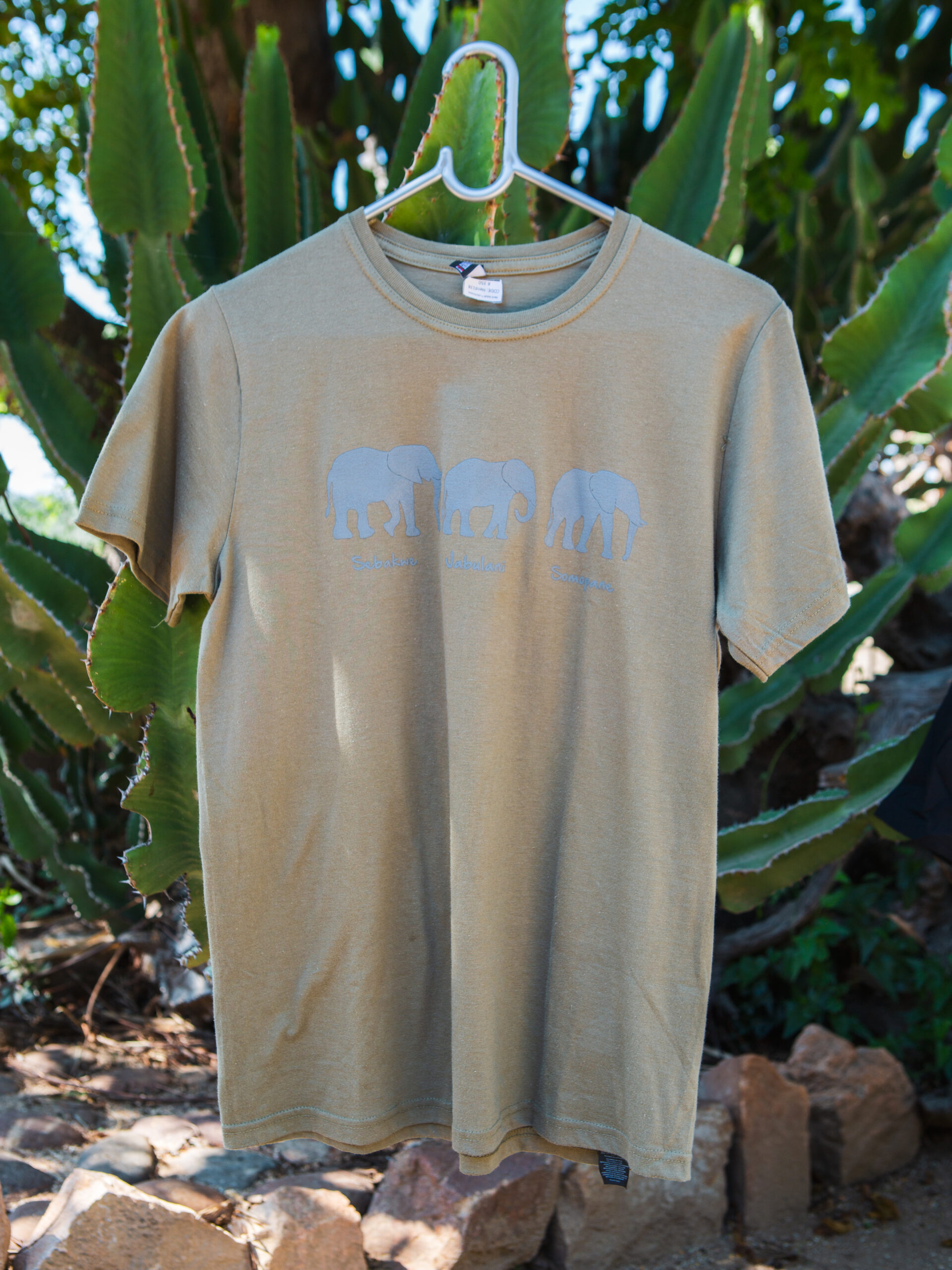 3 Bulls T-shirt - Image 4