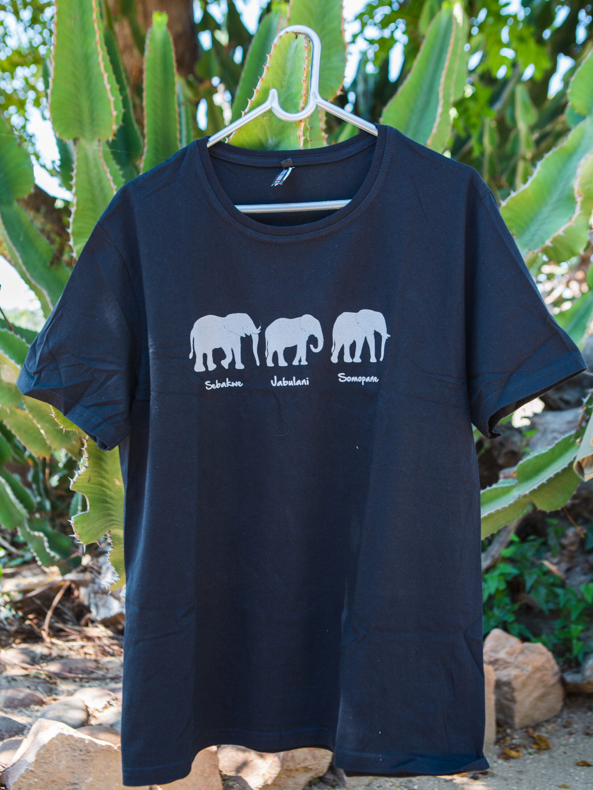 3 Bulls T-shirt - Image 3