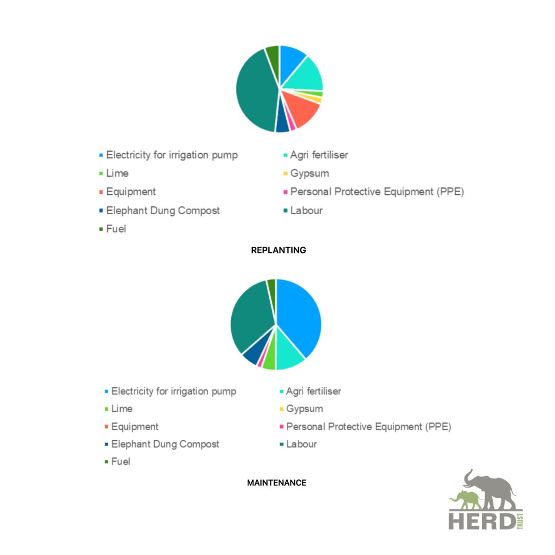 Project Bana Grass - Mammoth Feast Facilitator Donor Tier - Image 3