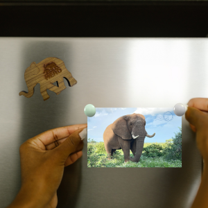 Elephant Magnet