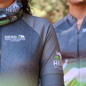 Regular Cycling Jerseys