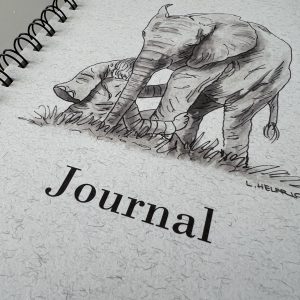 HERD Journal