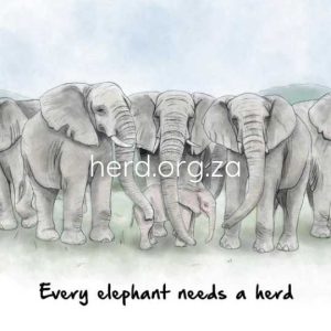 Wisdom 01 - Every Elephant Needs a Herd (Digital)