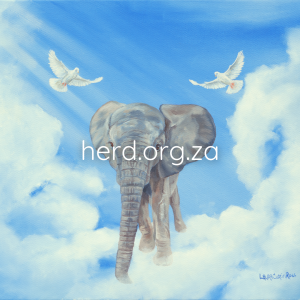 Phabeni, always in our hearts (Digital)