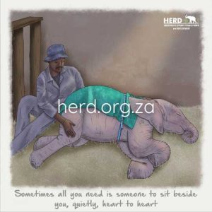 Wisdom 10 - Sometimes (Digital)