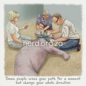 Wisdom 11 - Some People (Digital)