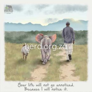 Wisdom 14 - Your Life (Digital)