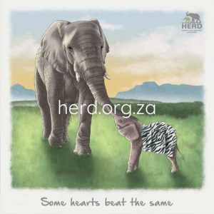 Wisdom 15 - Some Hearts (Digital)