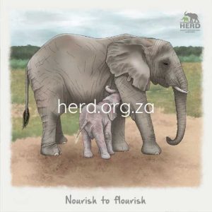 Wisdom 16 - Nourish (Digital)