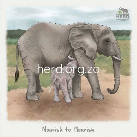 Wisdom 16 - Nourish (Digital)