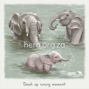 Wisdom 18 - Soak Up (Digital)