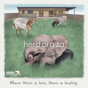 Wisdom 21 - Where There Is Love (Digital)