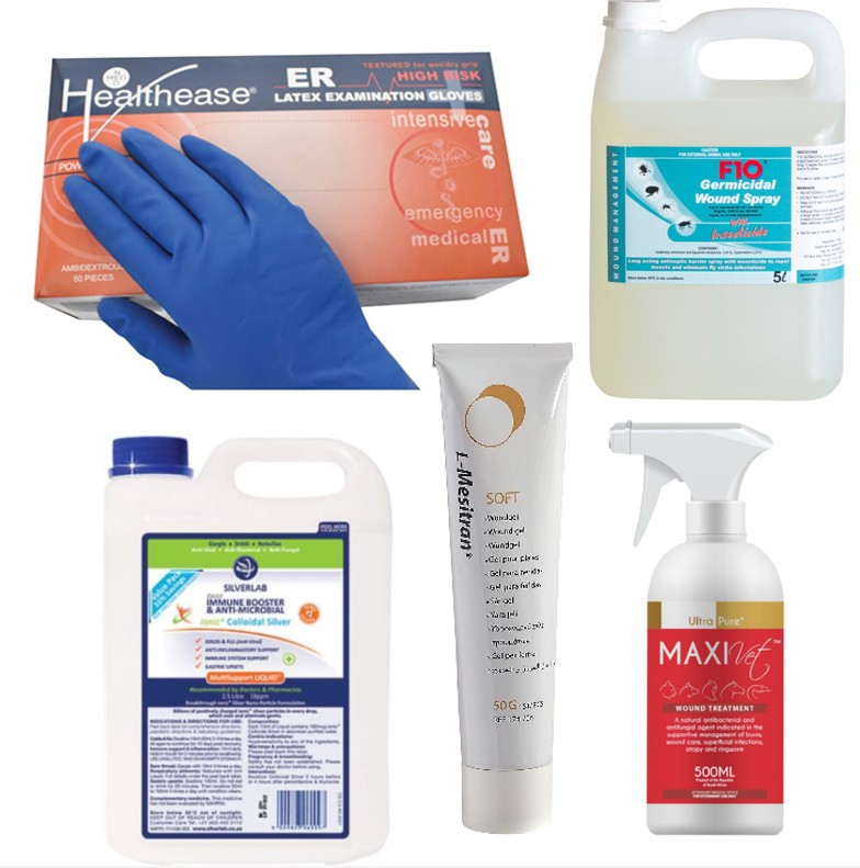 Big Wish: Wound Care for Elephants - Image 4