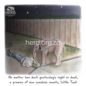 Wisdom 04 - Little Tusk (Digital)