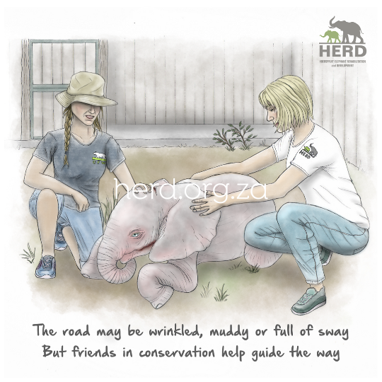 Wisdom 03 - Friends in conservation (Digital)