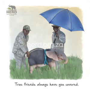 Wisdom 06 - True Friends (Digital)