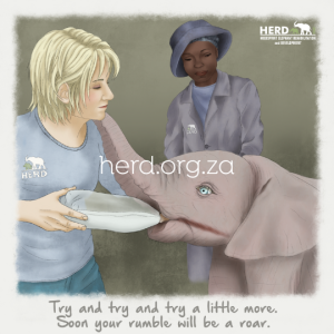 Wisdom 07 - Rumble (Digital)