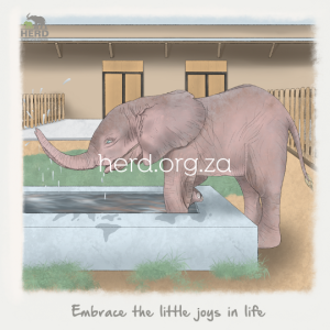 Wisdom 08 - Little Joys (Digital)