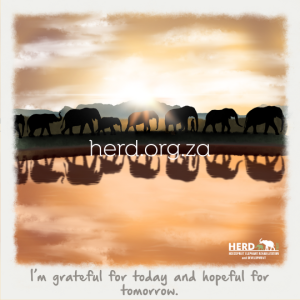 Wisdom 22 - Grateful (Digital)