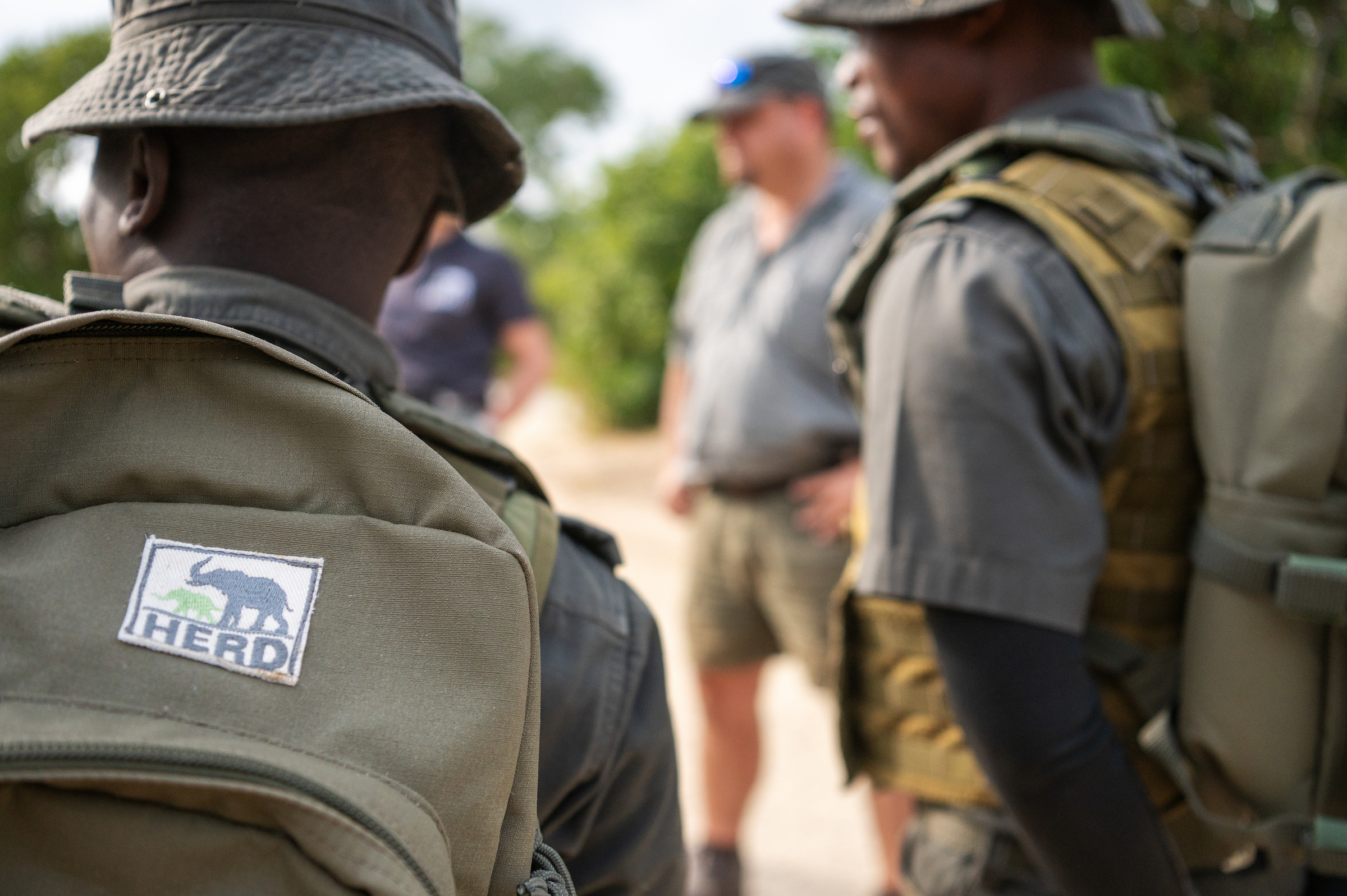 HERD Patches - Image 2