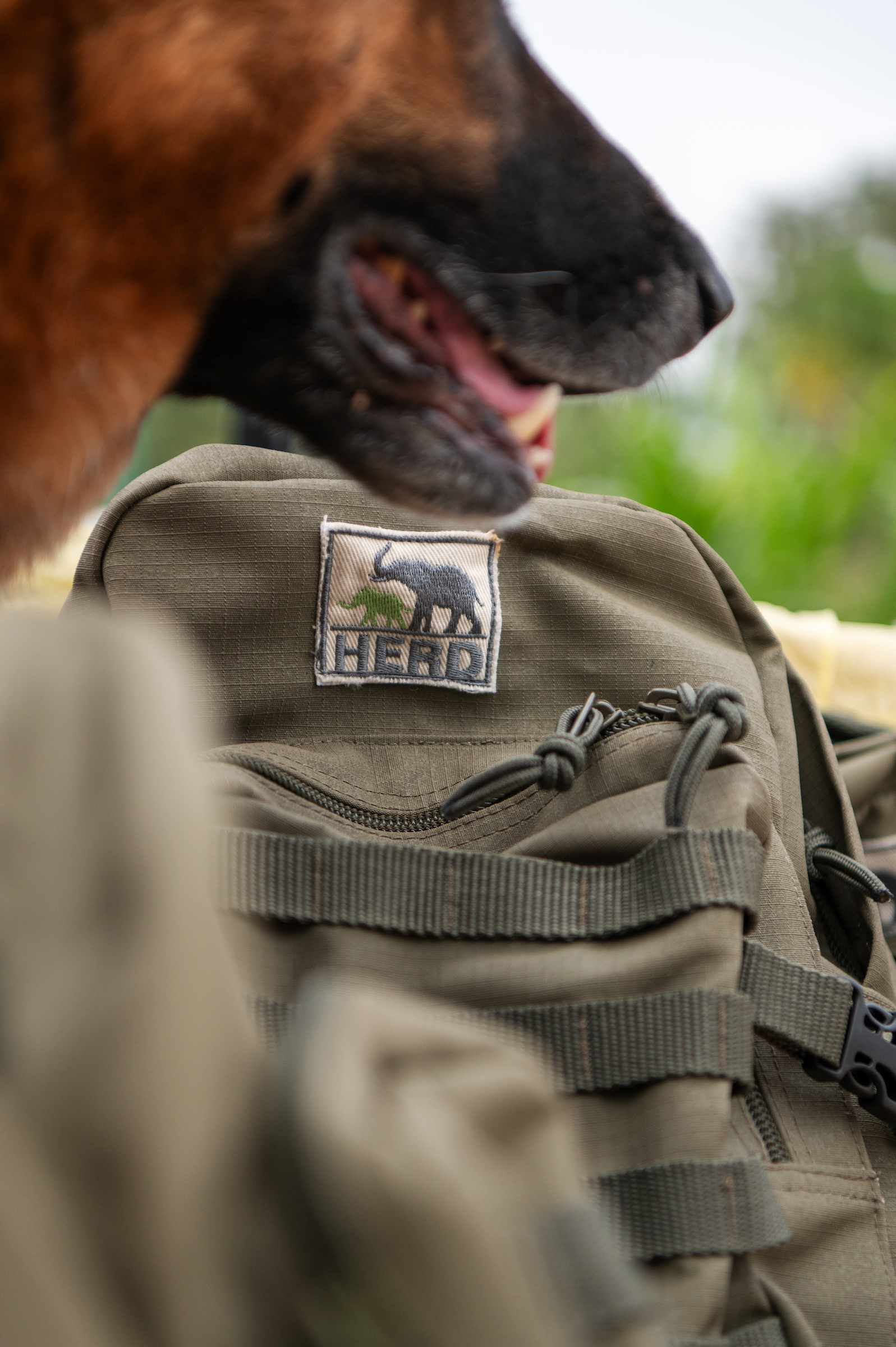 HERD Patches - Image 3