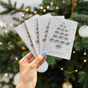 Elephant Dung Festive Cards Set