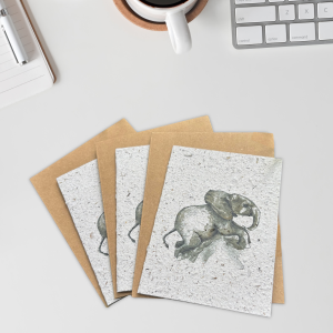 Elephant Dung Greeting Cards Set