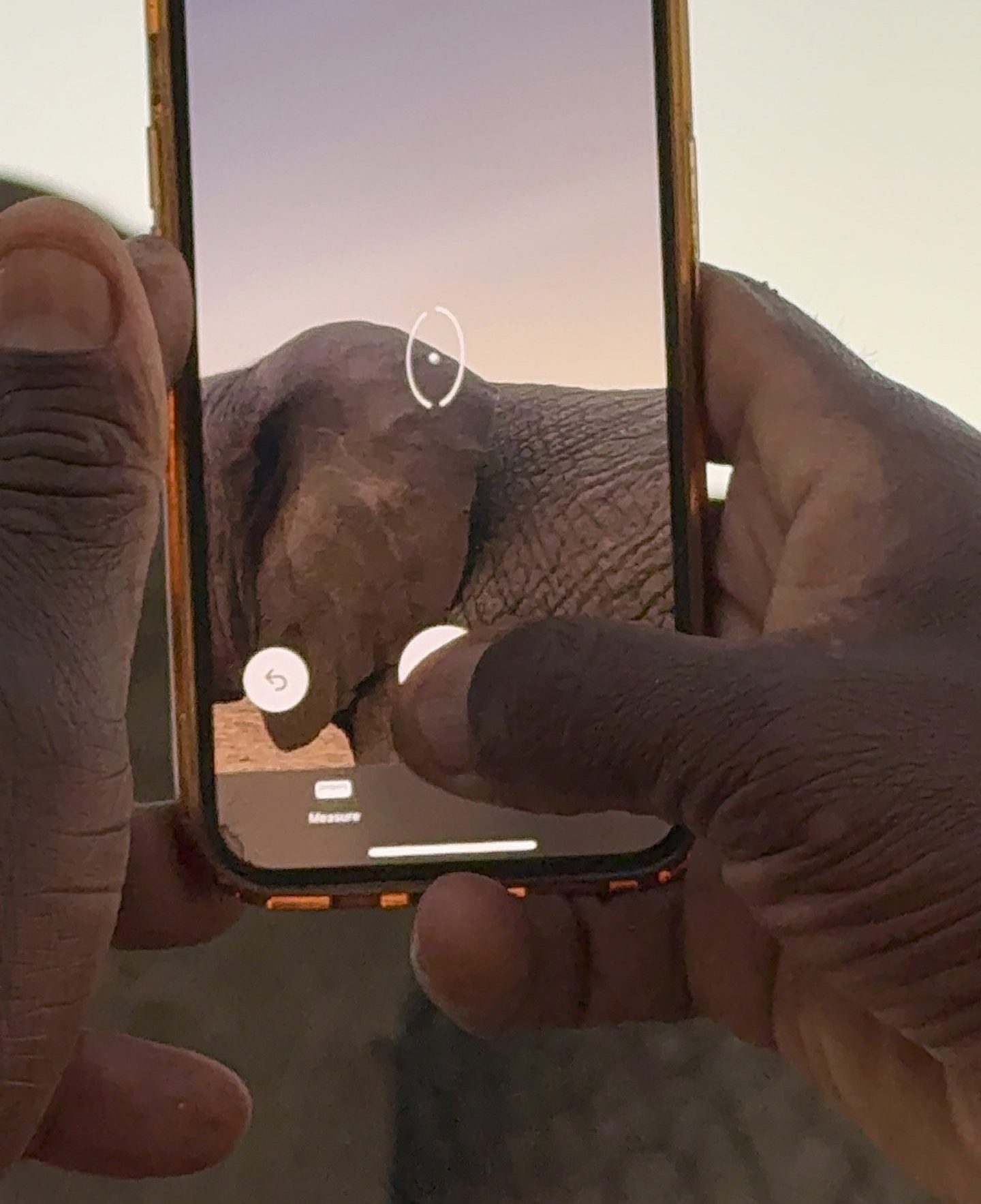 Big Wish: Carer IPhone - Image 4