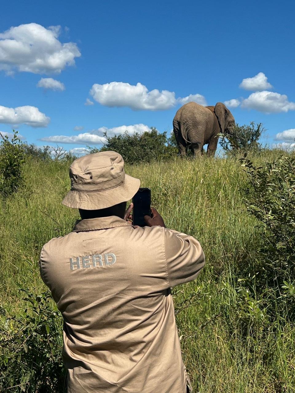 Big Wish: Carer IPhone