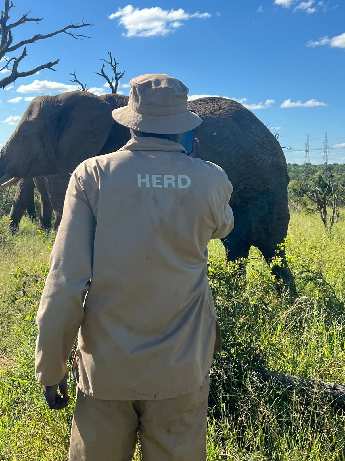 Big Wish: Carer IPhone - Image 2